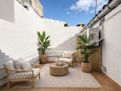 Selva Häuser, Selva Haus kaufen