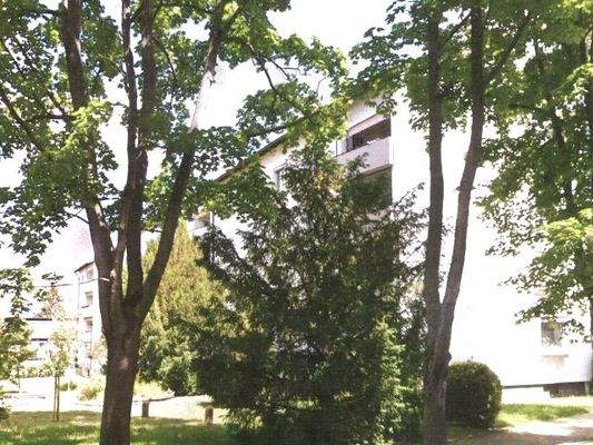 Südseite mit Grünanlage Bild 2