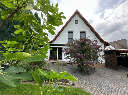 Rückansicht    .png