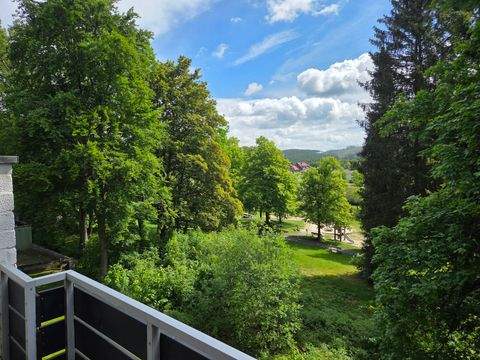Goslar Wohnungen, Goslar Wohnung kaufen