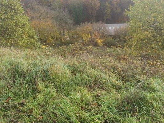 25270_Grundstück (3)