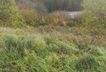 25270_Grundstück (3)