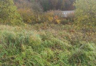 25270_Grundstück (3)