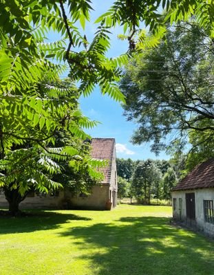 Scheune und Schuppen