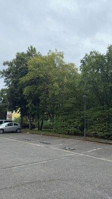 Stellplätze bei der Hallenser Straße 2 im Innenhof