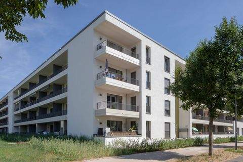 Landau in der Pfalz Wohnungen, Landau in der Pfalz Wohnung mieten