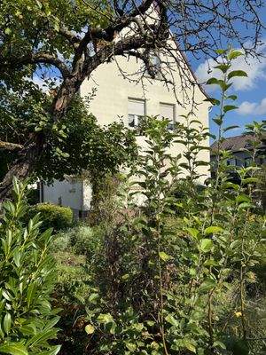 Seitenansicht mit Vorgarten