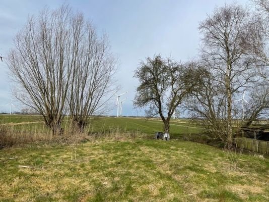 Blick in die Marsch