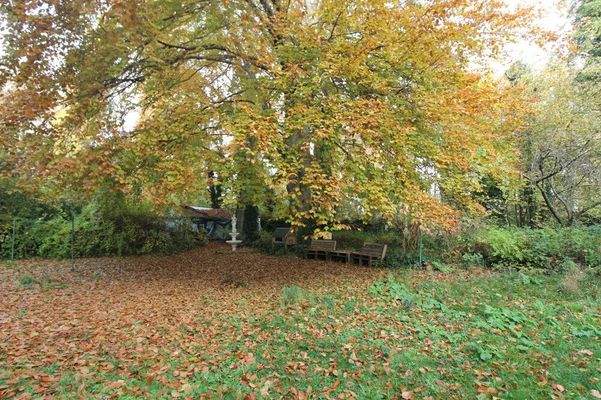 Garten zur Mitnutzung