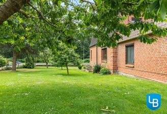 Garten mit Baumbestand...