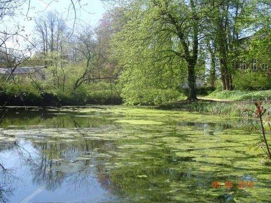 See im Stadtpark gegenüber