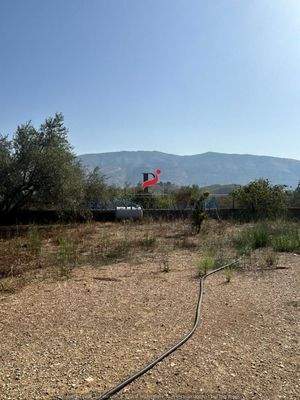 WhatsApp Image 2024-09-06 at 10.30.38 (1).jpeg