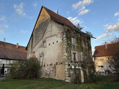 Rheinfelden Häuser, Rheinfelden Haus kaufen