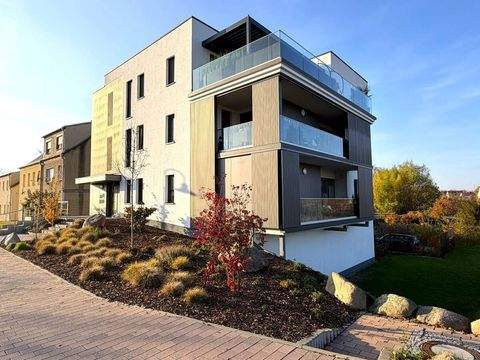 Bitterfeld-Wolfen Wohnungen, Bitterfeld-Wolfen Wohnung mieten