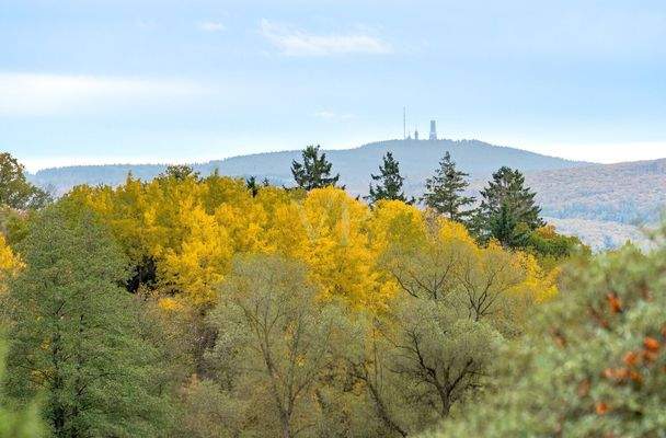 Panoramablick bis zum Feldberg
