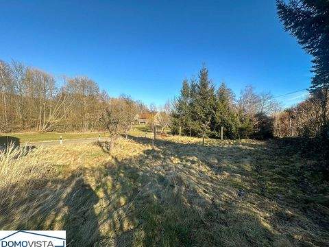 Königshain Häuser, Königshain Haus kaufen