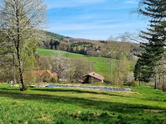 Bild 10