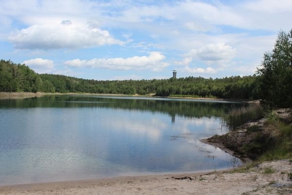 felixsee3.jpg