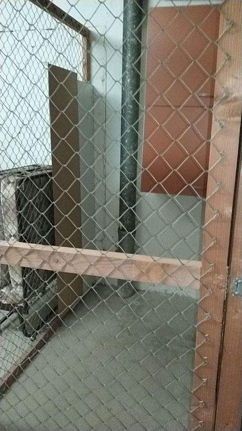 Braunlage-Hohegeiß Renditeobjekte, Mehrfamilienhäuser, Geschäftshäuser, Kapitalanlage