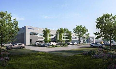 Cloppenburg Halle, Cloppenburg Hallenfläche