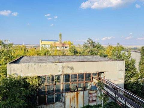 Gorna Oryahovitsa Halle, Gorna Oryahovitsa Hallenfläche