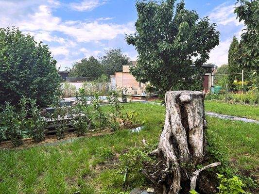 Blick über Grundstück