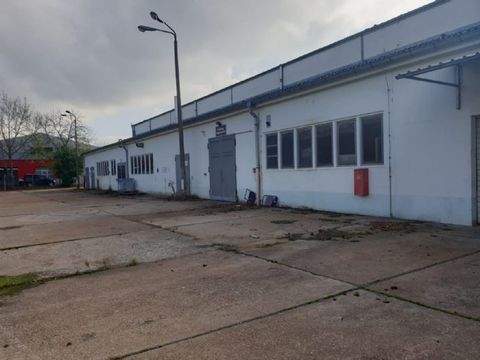 Eisenach Halle, Eisenach Hallenfläche