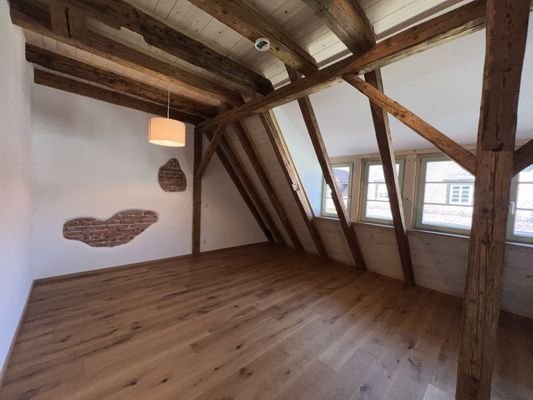 Wohn-/Schlaf-/Esszimmer
