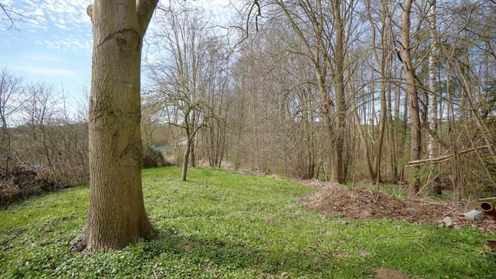 Garten - hinterer Teil