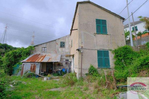 Rif 1462(Copy11).jpg