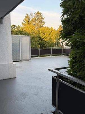 Großzügige Dachterrasse mit herbstlicher Baumkulisse - Ihr privates Refugium mit Weitblick!