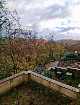 Ausblick von Terrasse.jpg