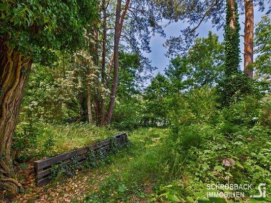 Weg von der Terrasse zum Ufer