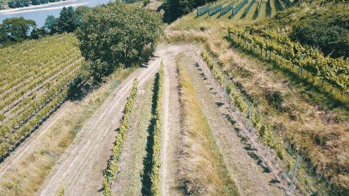 Blick Richtung Osten