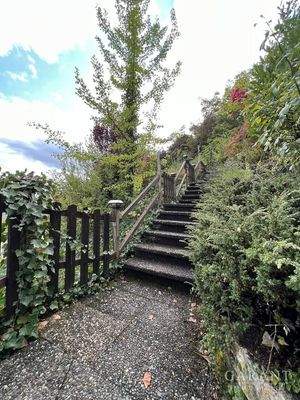 Treppe Garten