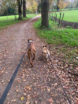 WhatsApp Image 2025-08-31 at 13.51.22