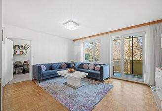 Großzügiger Wohnbereich