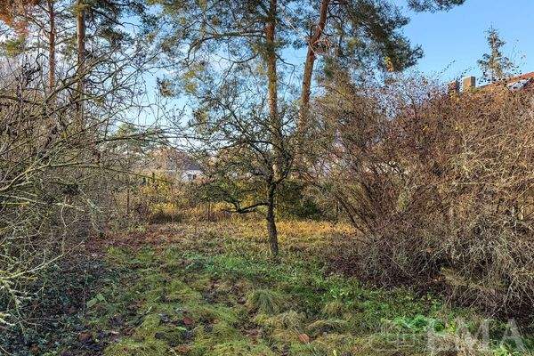 Teilansicht Baugrundstück