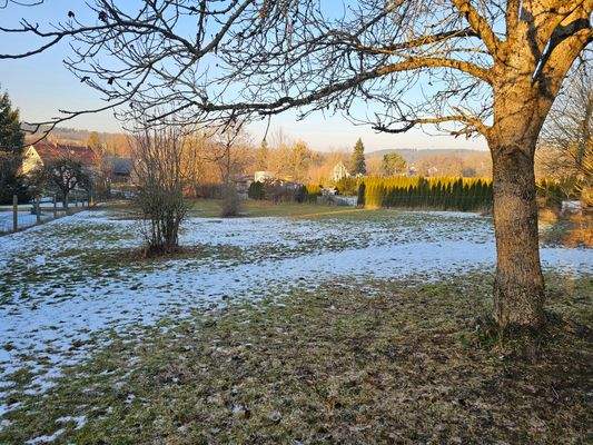 großes Gartengrundstück