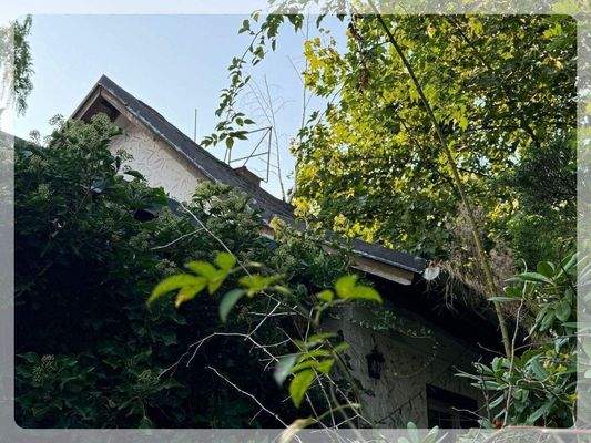 viel zum entsorgen....