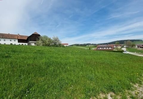 Waldburg Grundstücke, Waldburg Grundstück kaufen