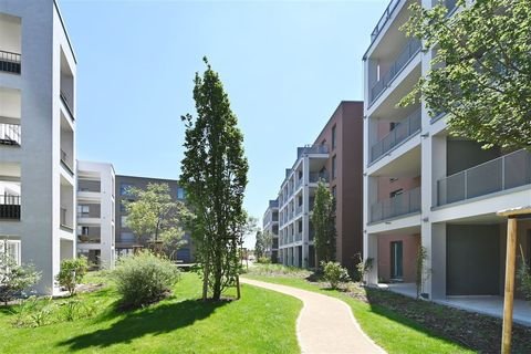 Schwetzingen Wohnungen, Schwetzingen Wohnung mieten