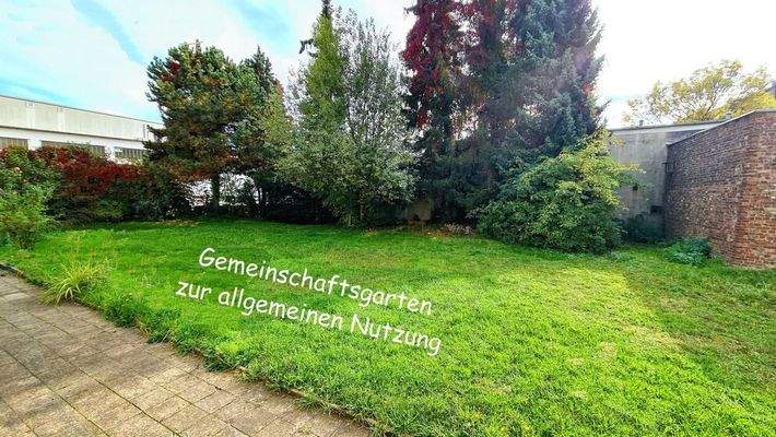 Gemeinschaftsgarten