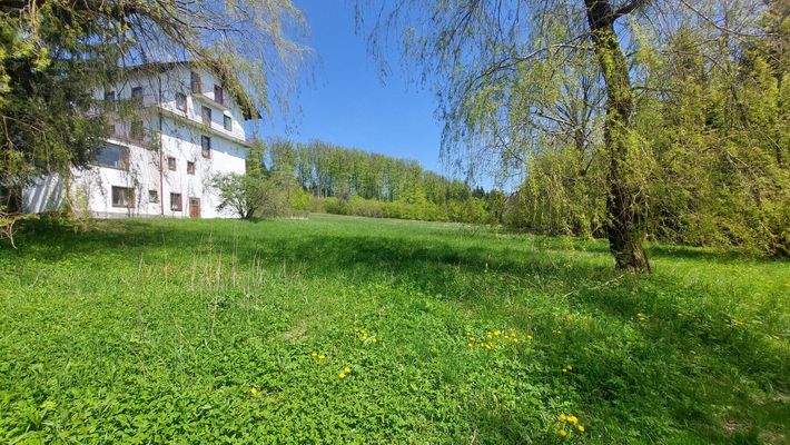 Großzügige Grünflächen