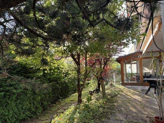 Terrasse Südseite mit Wintergarten