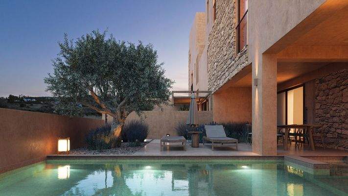 Olive Courtyard Collection 019