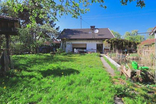 Bilder aktuell Grundstück (Richtung Norden)