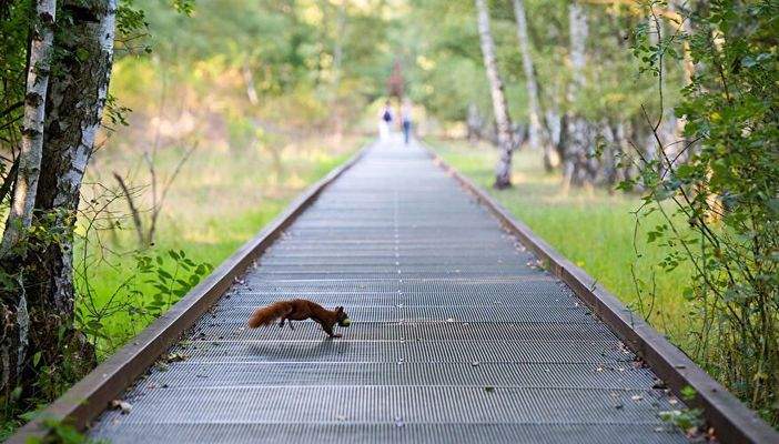 Umgebung_Naturpark-Südgelände