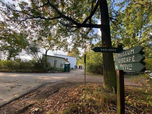 wohnen am Waldesrand