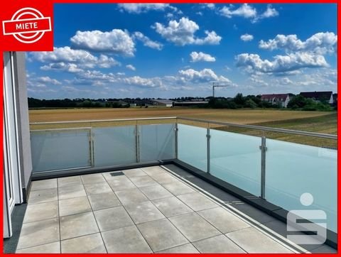 Lauingen Wohnungen, Lauingen Wohnung mieten